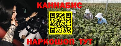 прущие крисы Бийск