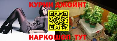 прущие крисы Бийск