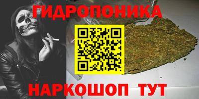 гидра Берёзовский