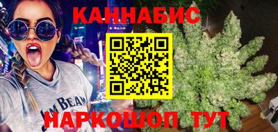 гидра Берёзовский