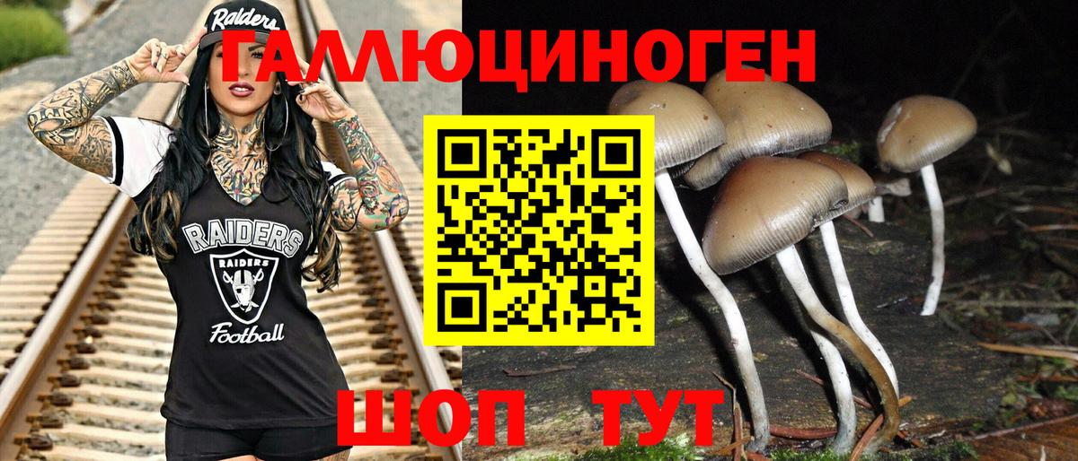 Псилоцибиновые грибы прущие грибы  Вход с VPN  сколько стоит  Псилоцибиновые грибы GOLDEN TEACHER  Каменск-Шахтинский 